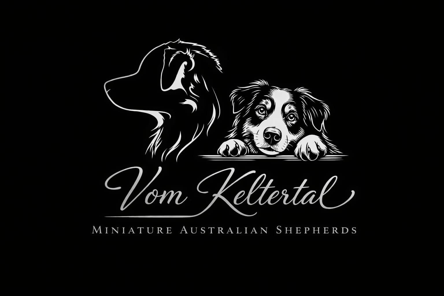 Unsere Partner: Vom Keltertal Miniature Australian Shepherds